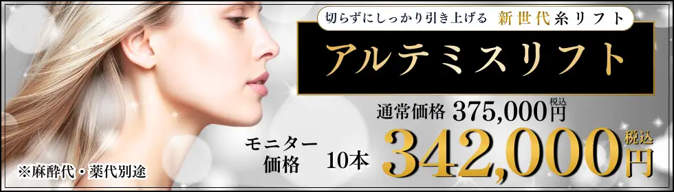 アルテミスリフト'バナーイメージ