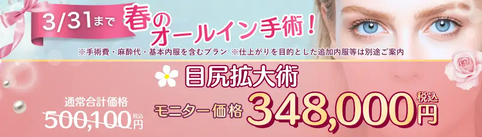 【春のオールイン手術！】目尻拡大術'バナーイメージ