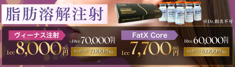 脂肪溶解注射(ヴィーナス注射・FatX Core)'バナーイメージ