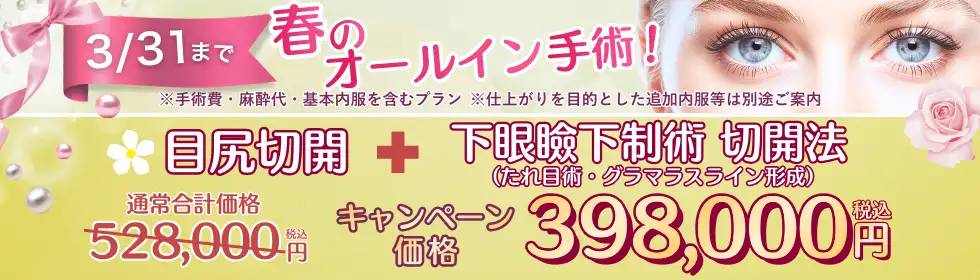 【春のオールイン手術！】目尻切開＋グラマラスライン形成'バナーイメージ