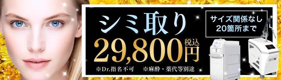 シミ取り'バナーイメージ