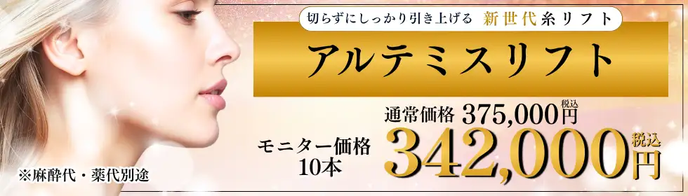 アルテミスリフト'バナーイメージ