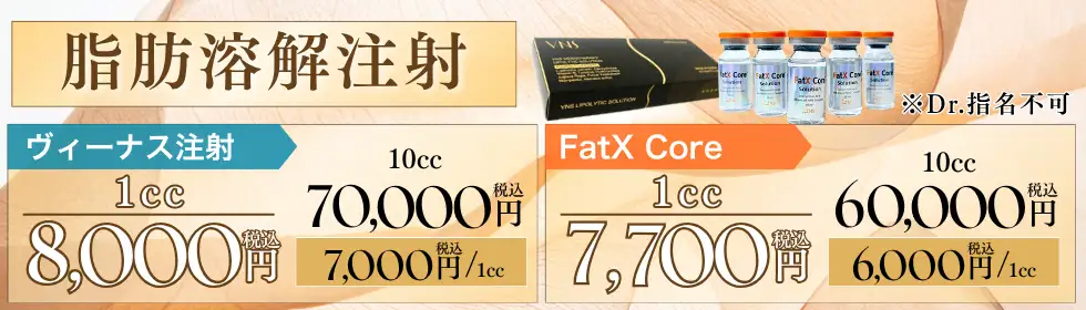 脂肪溶解注射(ヴィーナス注射・FatX Core)'バナーイメージ