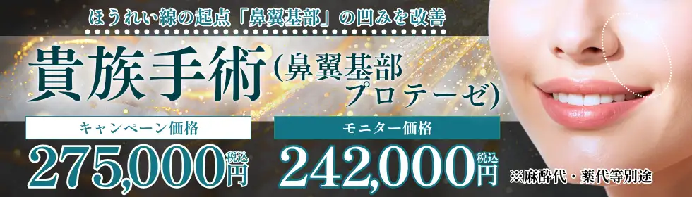 貴族手術(鼻翼基部プロテーゼ)'バナーイメージ