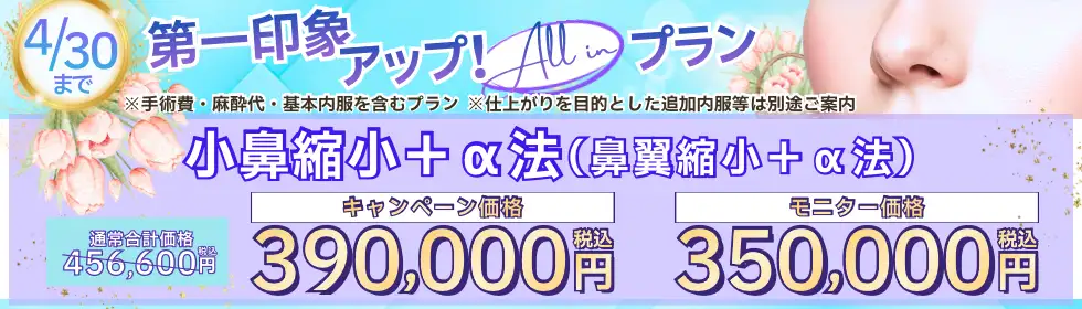 【第一印象アップ！All in プラン】小鼻縮小＋α法(鼻翼縮小＋α法)'バナーイメージ