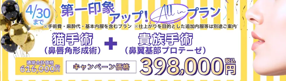 【第一印象アップ！All in プラン】猫手術(鼻唇角形成術)＋貴族手術(鼻翼基部プロテーゼ)'バナーイメージ