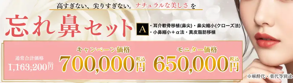 [モニター有] 忘れ鼻SET'バナーイメージ