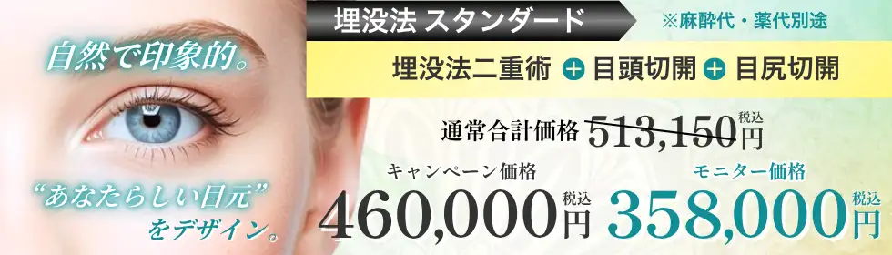 選べる目元フル整形'バナーイメージ