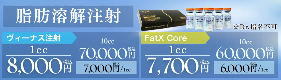 脂肪溶解注射(ヴィーナス注射・FatX Core)'バナーイメージ