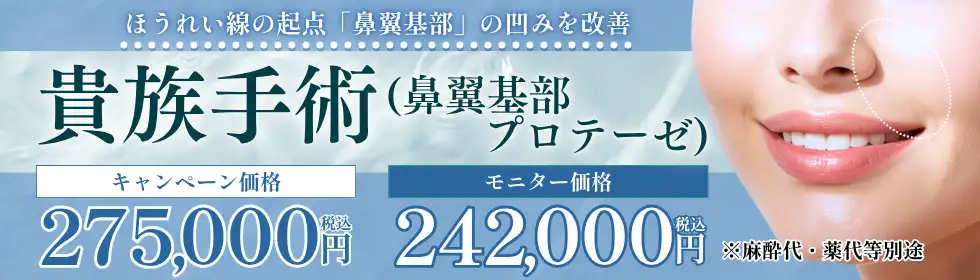 貴族手術(鼻翼基部プロテーゼ)'バナーイメージ