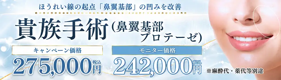 貴族手術(鼻翼基部プロテーゼ)'バナーイメージ
