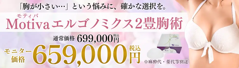 Motiva(モティバ)エルゴノミクス２'バナーイメージ
