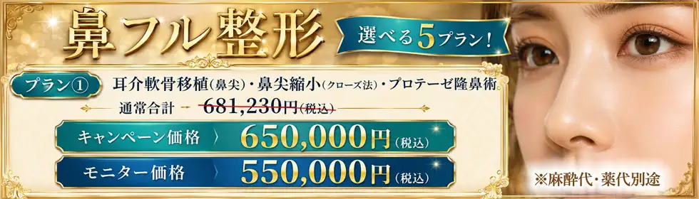[モニター有] 鼻フル整形'バナーイメージ