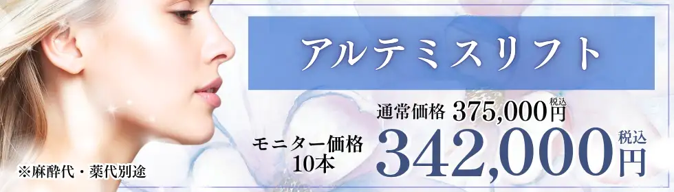 アルテミスリフト'バナーイメージ