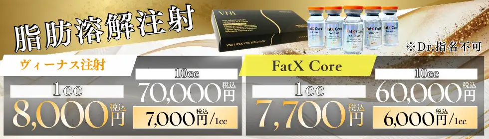 脂肪溶解注射(ヴィーナス注射・FatX Core)'バナーイメージ