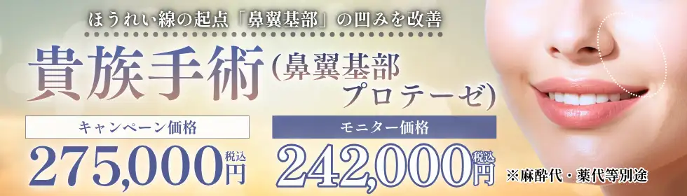 貴族手術(鼻翼基部プロテーゼ)'バナーイメージ