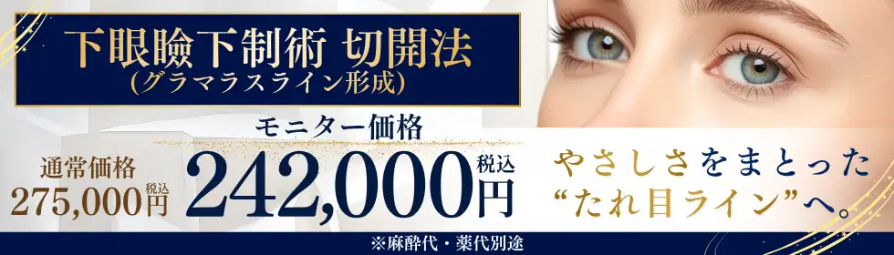 下眼瞼下制術 切開法(たれ目術・グラマラスライン形成)'バナーイメージ