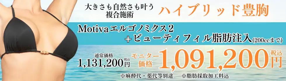 ハイブリッド豊胸'バナーイメージ