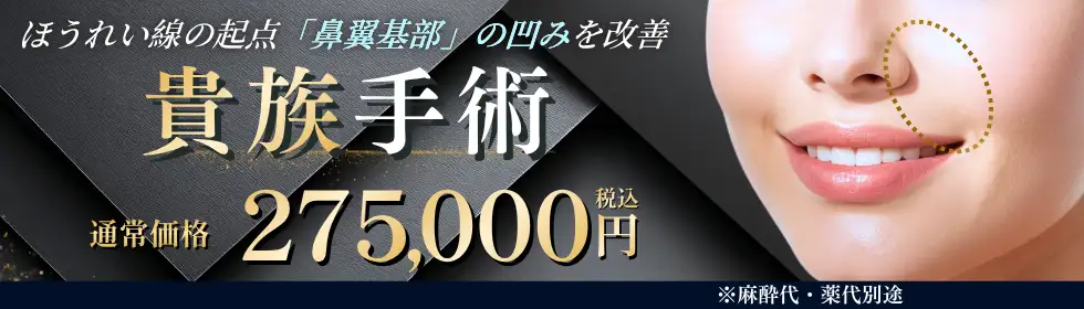 貴族手術(鼻翼基部プロテーゼ)'バナーイメージ
