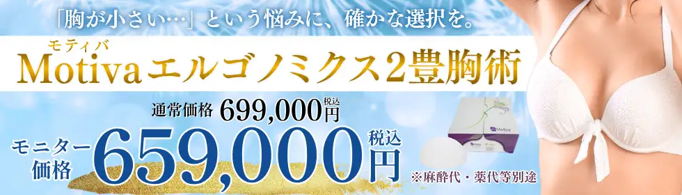 Motiva(モティバ)エルゴノミクス２'バナーイメージ