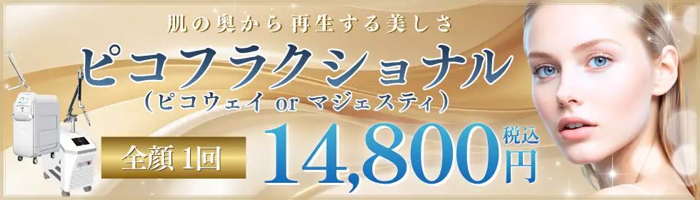 ピコフラクショナル'バナーイメージ