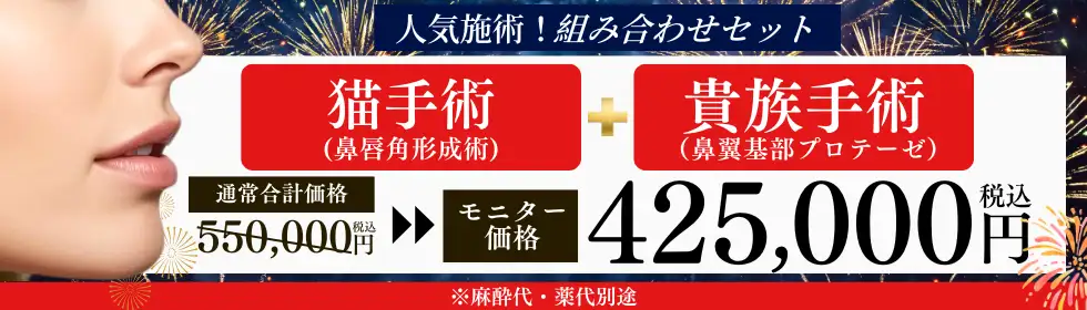 猫手術＋貴族手術'バナーイメージ