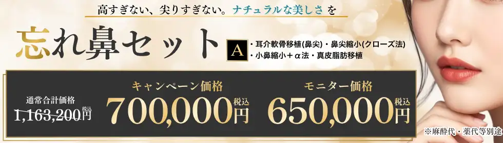 [モニター有] 忘れ鼻SET'バナーイメージ