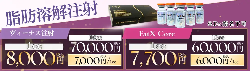 脂肪溶解注射(ヴィーナス注射・FatX Core)'バナーイメージ