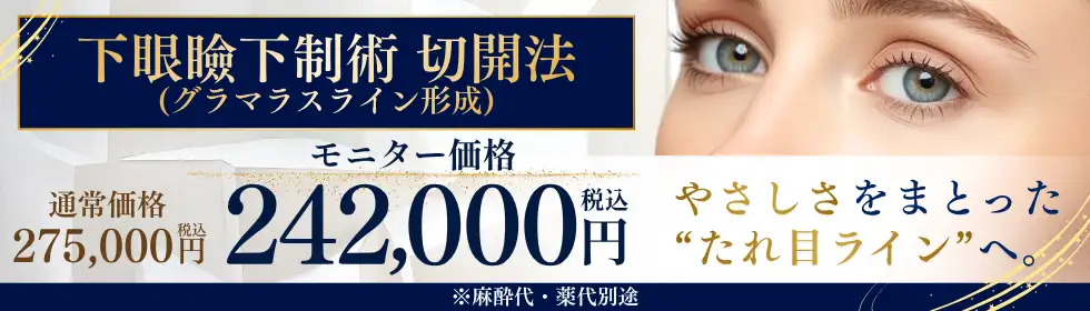 下眼瞼下制術 切開法(たれ目術・グラマラスライン形成)'バナーイメージ