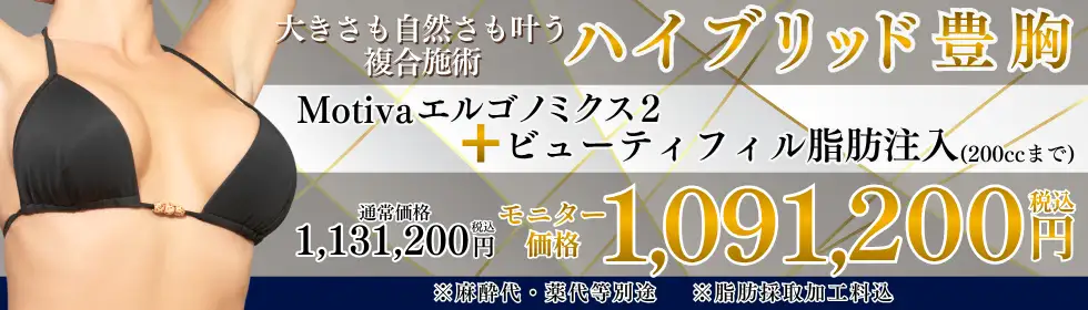 ハイブリッド豊胸'バナーイメージ