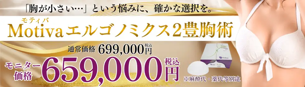 Motiva(モティバ)エルゴノミクス２'バナーイメージ