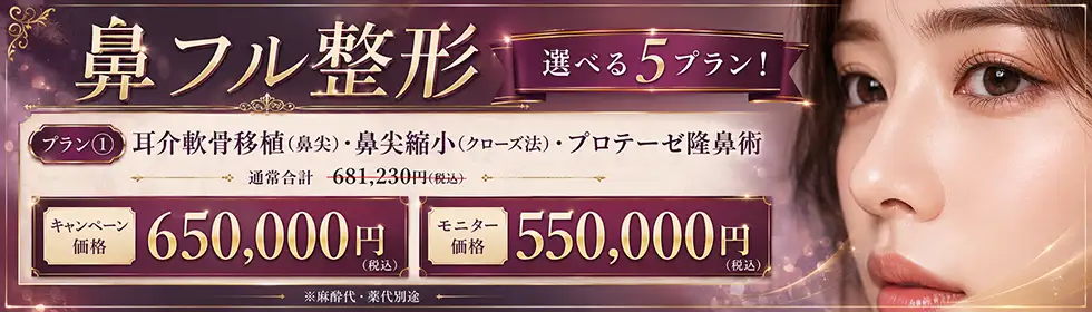 [モニター有] 鼻フル整形'バナーイメージ
