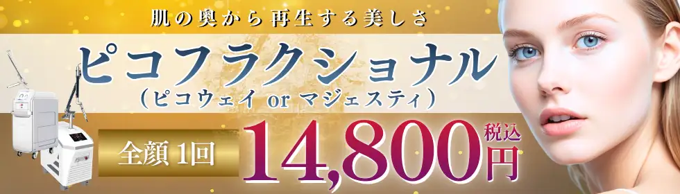 ピコフラクショナル'バナーイメージ