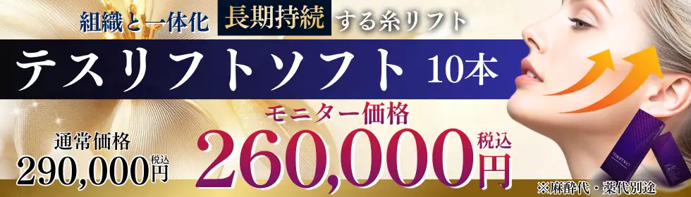 テスリフトソフト'バナーイメージ