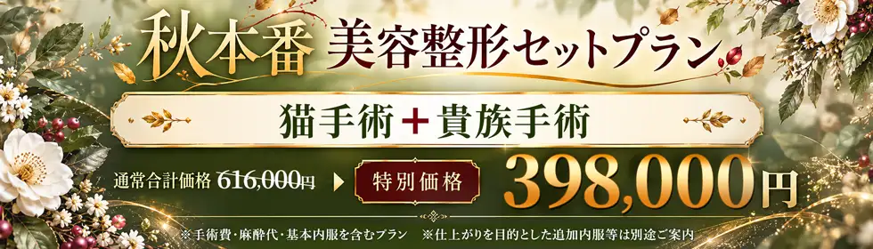 【秋本番 美容整形セットプラン】猫手術＋貴族手術'バナーイメージ