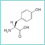 チロシン(アミノ酸)