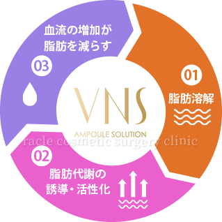 ヴィーナス注射の効果と成分　イメージ
