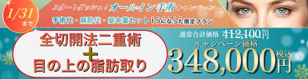 全切開法二重術＋目の上の脂肪取り 全込みバナー