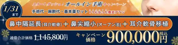 鼻中隔延長(耳介軟骨)＋鼻尖縮小＋耳介軟骨移植 全込みバナー