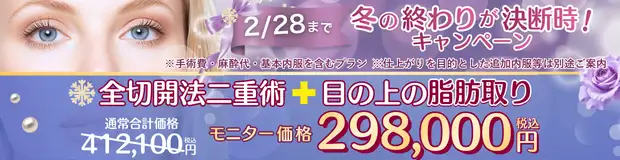 全切開法二重術+目の上の脂肪取り 全込みバナー