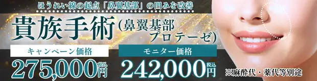 貴族手術 キャンペーンバナー