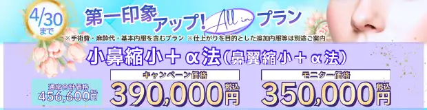 小鼻縮小＋α法 全込みバナー