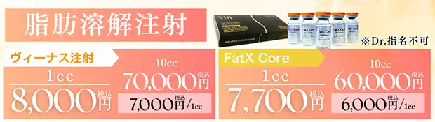 脂肪溶解注射バナー