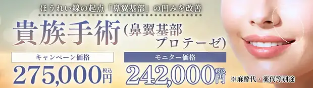 全込み貴族手術 キャンペーンバナー