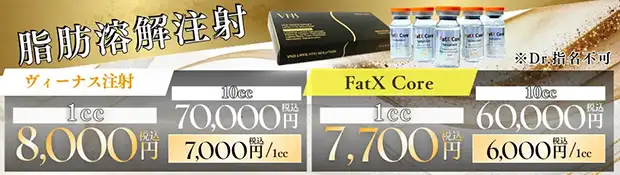 脂肪溶解注射バナー