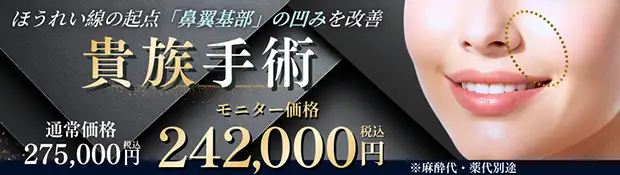 貴族手術 バナー
