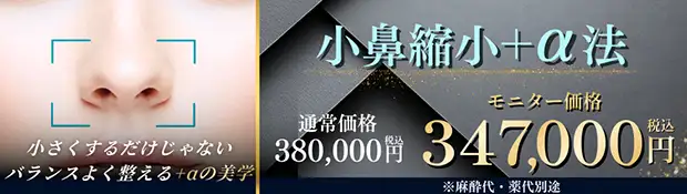小鼻縮小＋α法 バナー