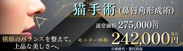 猫手術 バナー