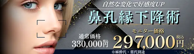 鼻孔縁下降術 バナー