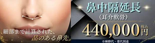 鼻中隔延長(耳介軟骨) バナー